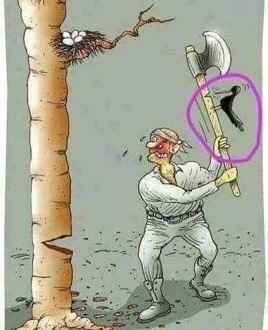 जब अपनों का अस्तित्व संकट में हो तो दुश्मन की ताकत नहीं देखी जाती, जंग आखरी सांस तक लड़ी जाती है।  चित्र में छोटी सी चिड़िया अपने अंडों की सुरक्षा के लिए जान पर खेल रही है।  हम लोगों को प्रेरित करने वाली बात।
#OPS_लागू_करो
#justiceforschoolschidren
<a href="/Aamitabh2/">Amitabh Agnihotri</a>
<a href="/vijaykbandhu/">Vijay Kumar Bandhu</a>