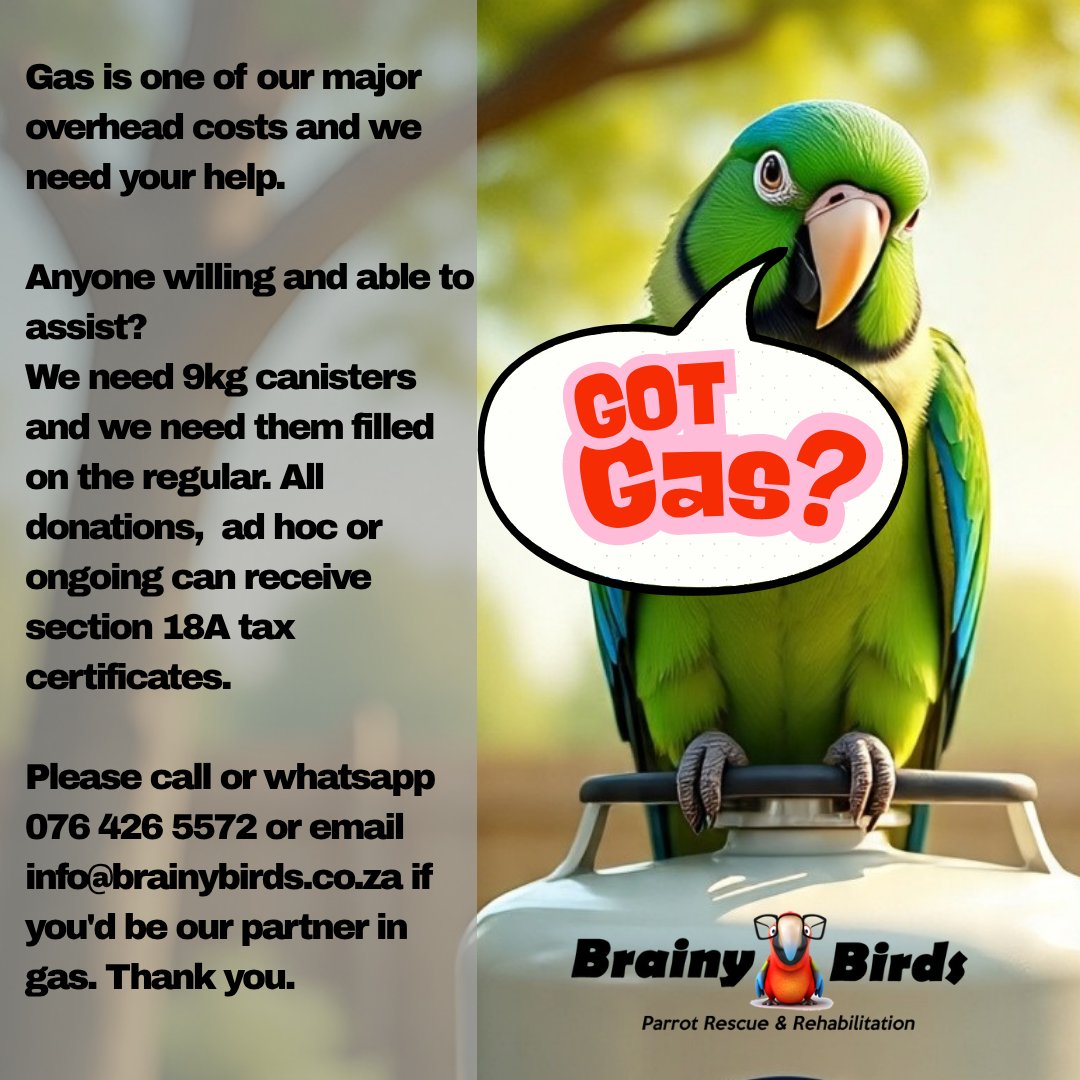 brainybirds_sa's tweet image. Out there, there's someone that's got gas. Please tag anyone you think could help.
