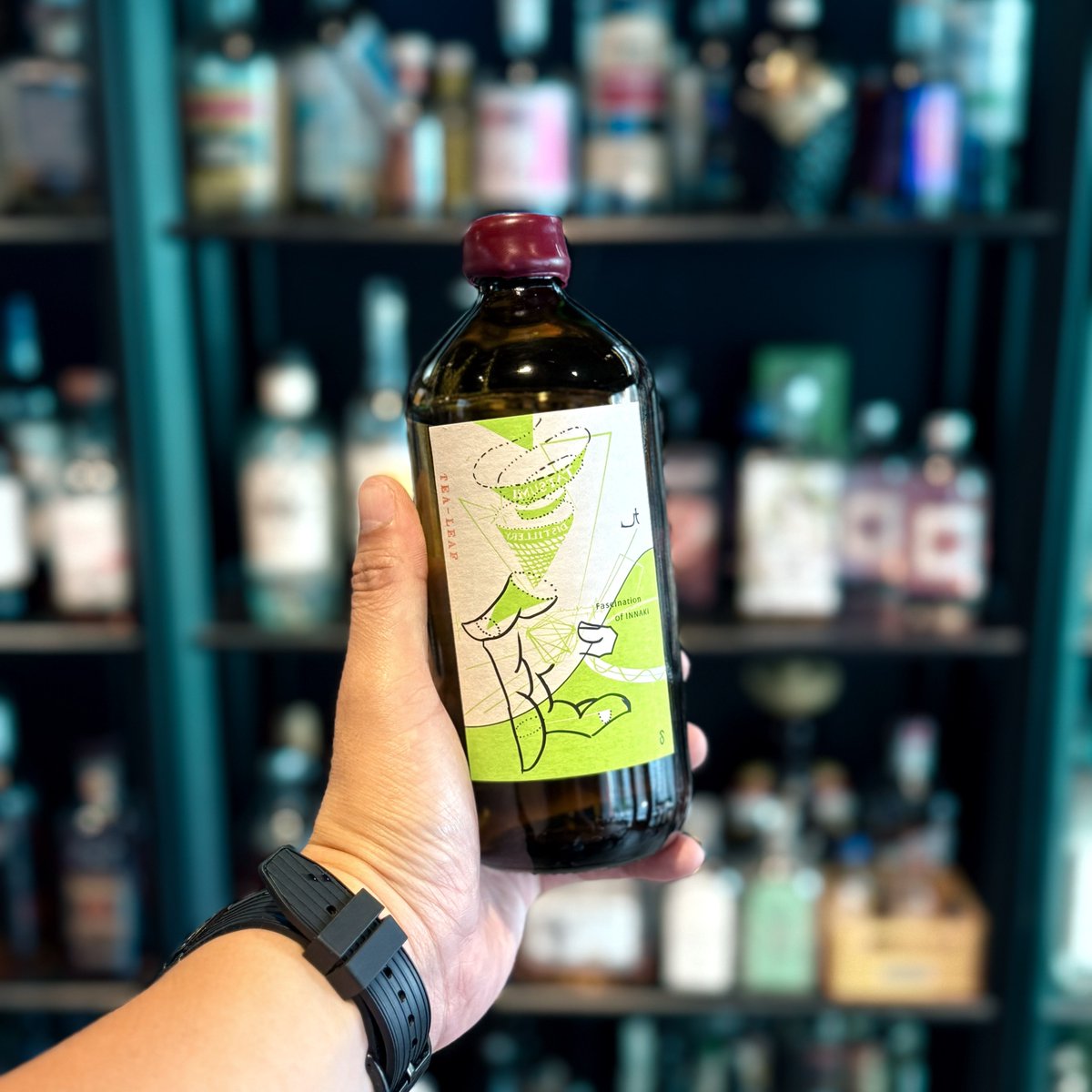 Fascination of INNAKI TEA-LEAF】 静岡県産のセカンドフラッシュ(春の