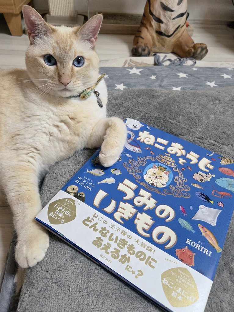 【夢ネコ様】 img61941273.jpg