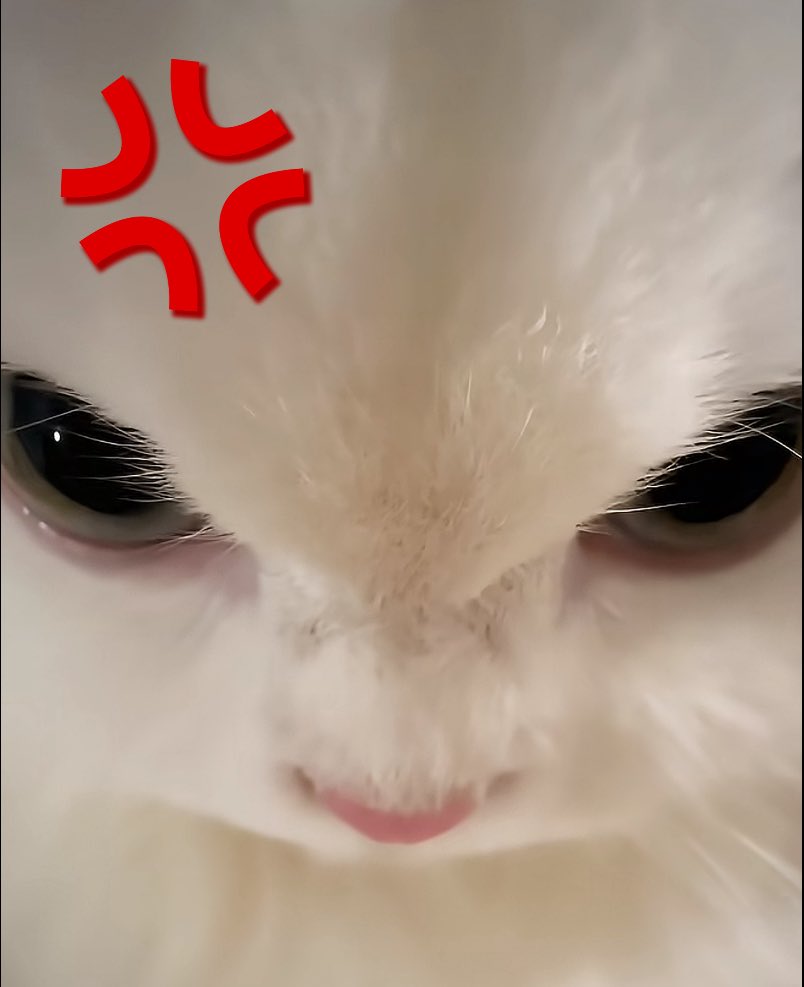 귀여워 #성호 #SUNGHO #BOYNEXTDOOR