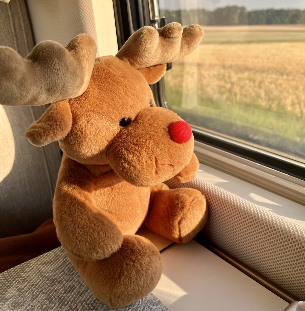 Was für ein wunderschöner Stellplatz! 🥰
Gefunden auf #staybetter
Ringsherum nur Felder und Wiesen. Heute kommt auch noch die Sonne dazu und selbst der kleine Rudolph ist ganz fasziniert von der Landschaft (während Ally passgenau schläft 😁).
#reisenmitrudi