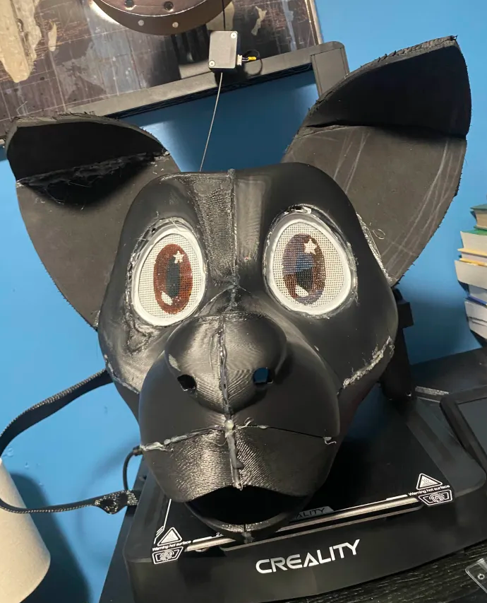 The boy has been granted sight!