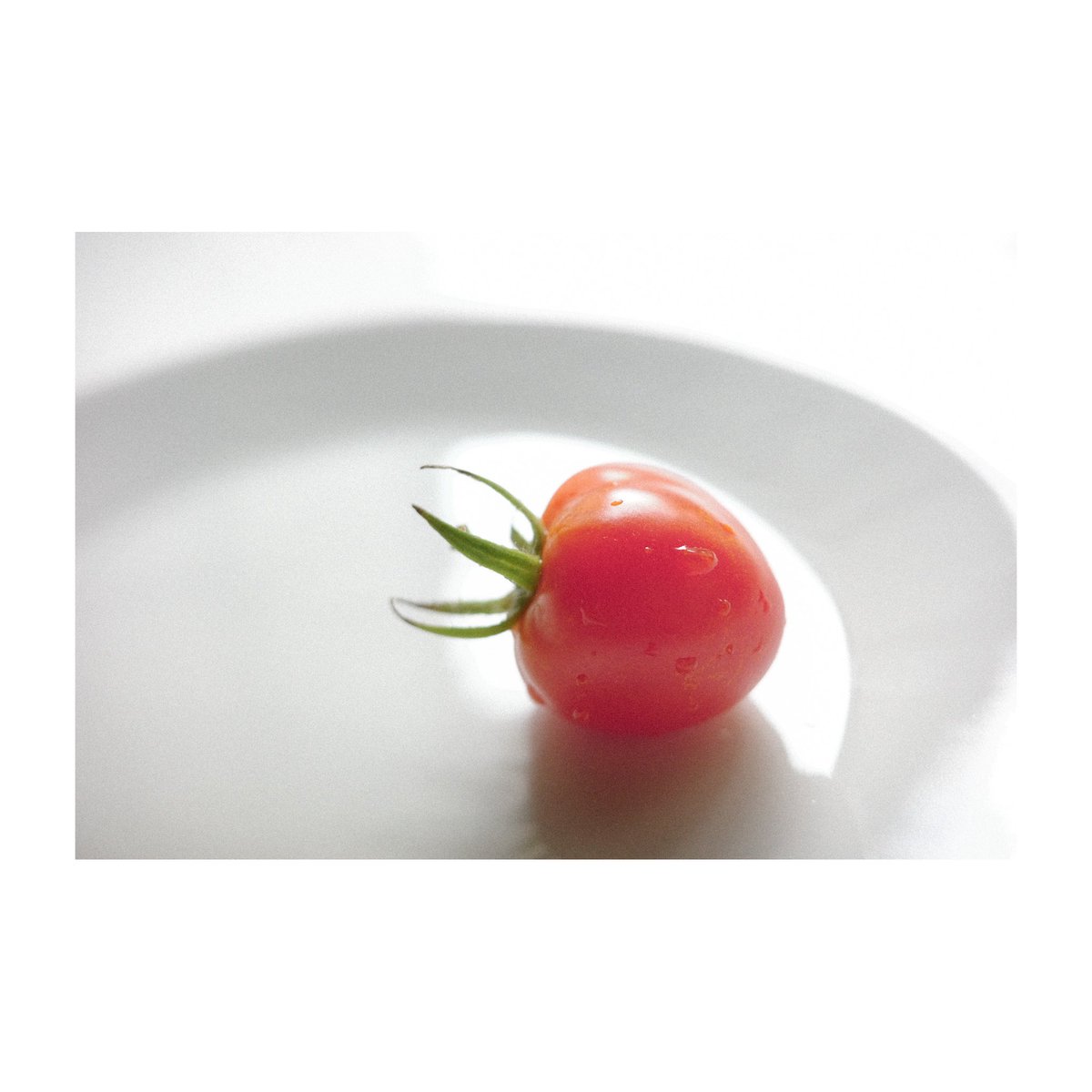 x_ct8n's tweet image. 採れたてプチトマトをいただいたー