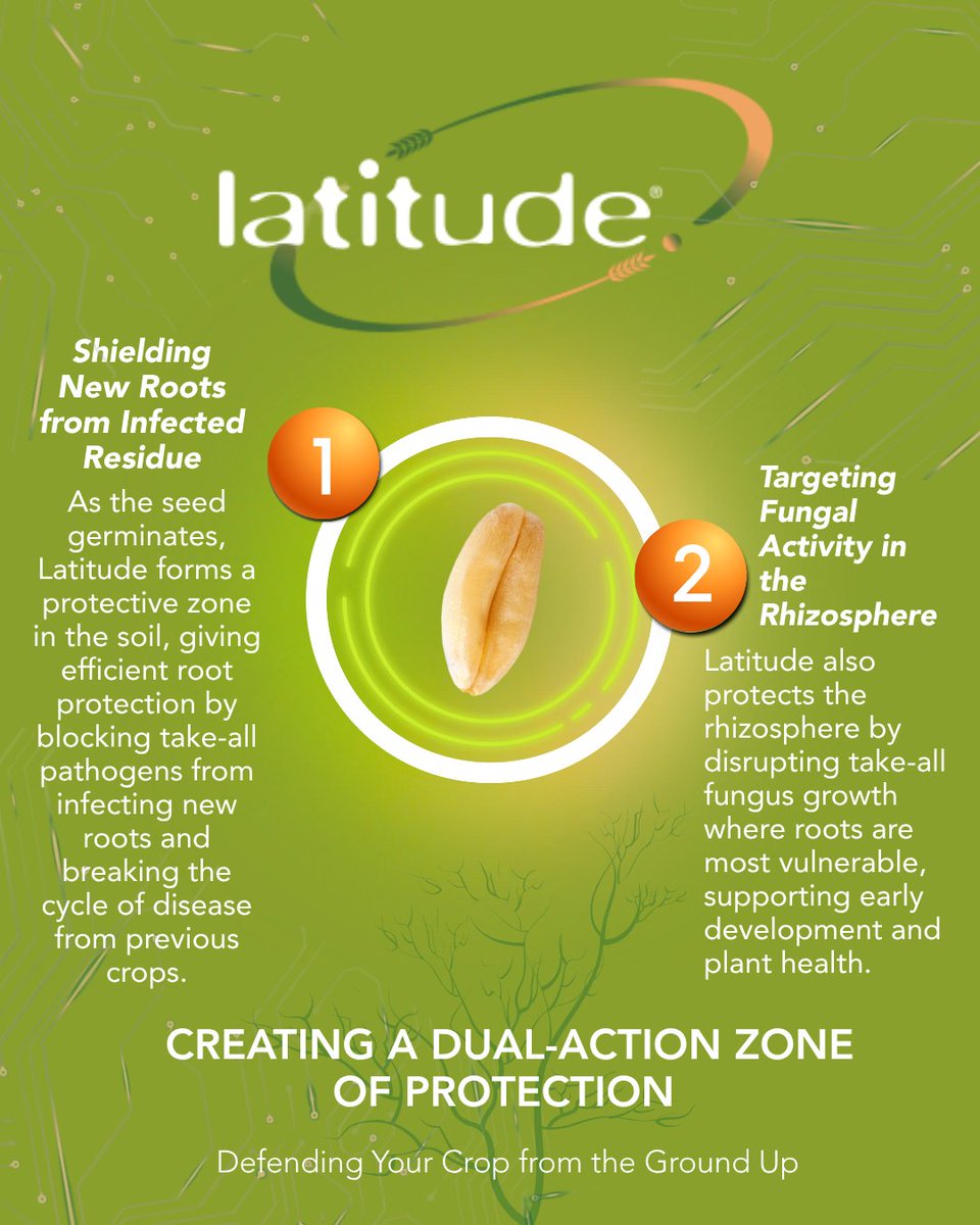 certis_belchim's tweet photo. 🌾 Latitude® forms a dual-action zone of protection — guarding both seed &amp; roots from take-all infection.

✔️ Targeted defence
✔️ Healthier roots
✔️ Stronger second cereals

#Latitude #TakeAllControl #CropProtection https://t.co/eLO6PByLUK