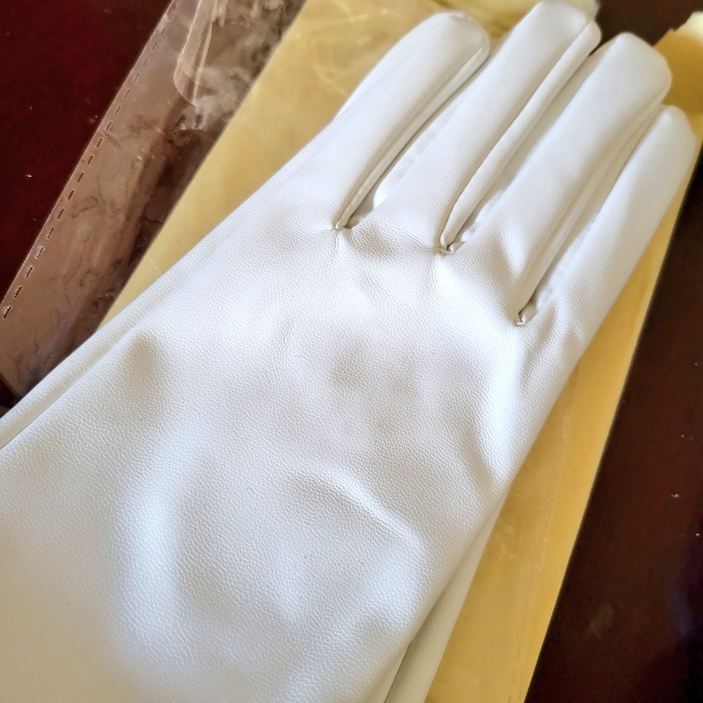 💡についてたグローブがこれ人の手は入らないのではってギッチギチサイズだったから他でお安めのポチってみたんだけど今度は大丈夫そうだよかった😭✨️
発送もめちゃめちゃ早くて助かる