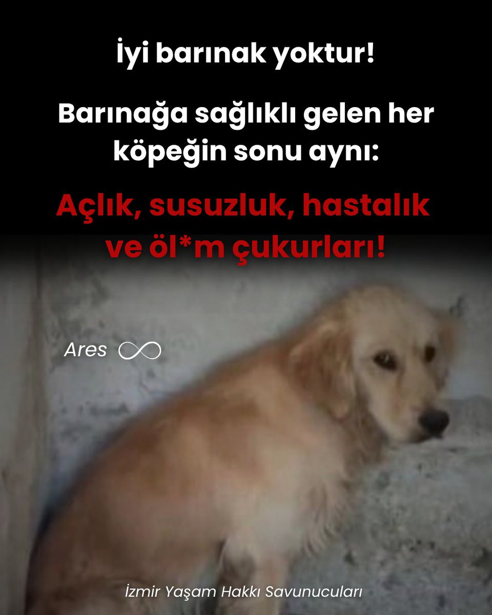 izmiryasamhakki's tweet photo. Dünyayı sadece kendinin zanneden bu kibirli zihniyetten hesap soracağız! https://t.co/NuNUy679n6
