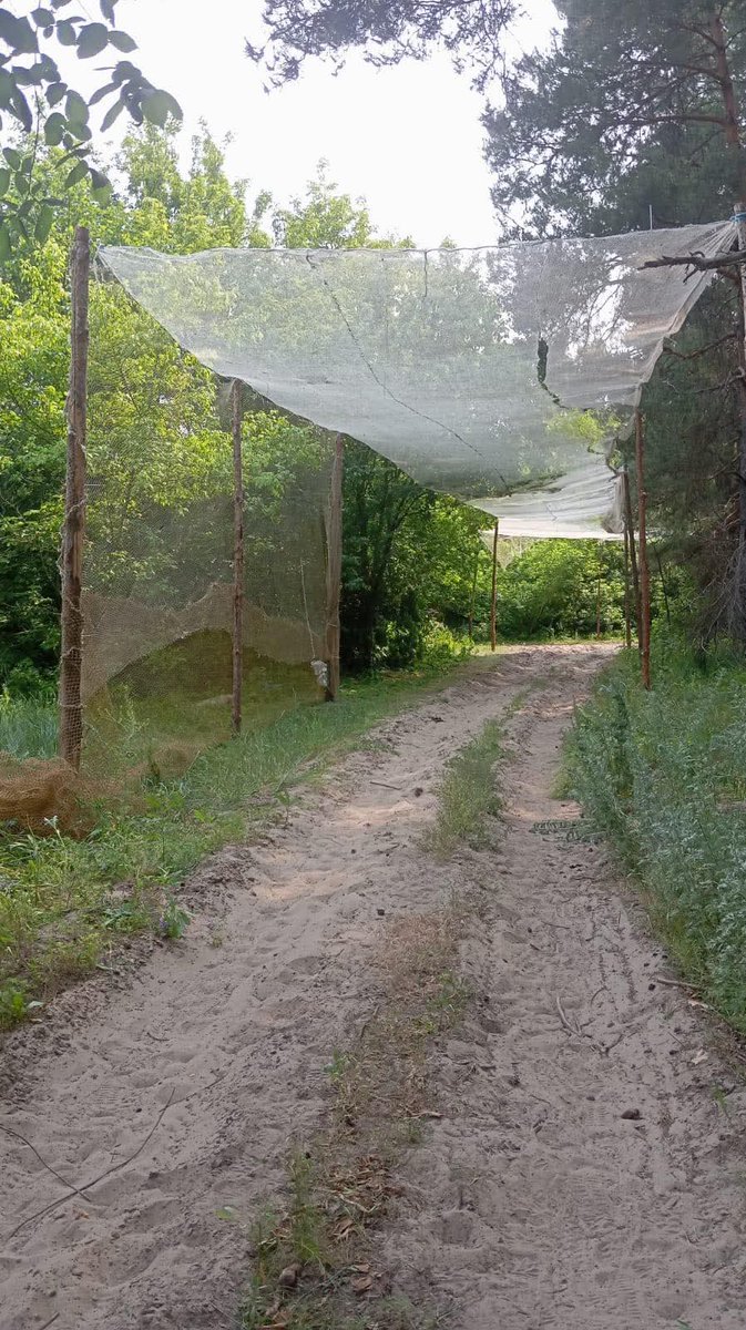 VaDyM (@vabim_zavallia) on Twitter photo Hey.
Please take a look at the photo — everything that can be called a net is being used. That’s how much our soldiers need protection.
I’m asking you, please help.
Day 20
+$60 covered 400m² of sky
👏 Collected: $3398
🎯To go: $ 1602
PP. perwogyba@ukr.net
Pls RT Hey.
Please take a look at the photo — everything that can be called a net is being used. That’s how much our soldiers need protection.
I’m asking you, please help.
Day 20
+$60 covered 400m² of sky
👏 Collected: $3398
🎯To go: $ 1602
PP. perwogyba@ukr.net
Pls RT
