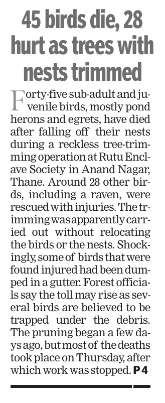 ते क्रूरच होते 
नेहमीच! 
या मृत्यूंची जबाबदारीही प्रशासनावरच