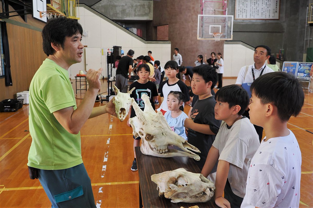 omoriyama_zoo's tweet image. 【3園館連携事業による出前授業を開催しました】
7月17日、男鹿市立美里小学校で、男鹿水族館GAO、鶴岡市立加茂水族館とともに出前授業を開催。アカコンゴウインコのメレブやモルモットなどとのふれあい、骨格標本解説や麻酔用吹き矢体験などを通して、動物について楽しく理解を深められました。