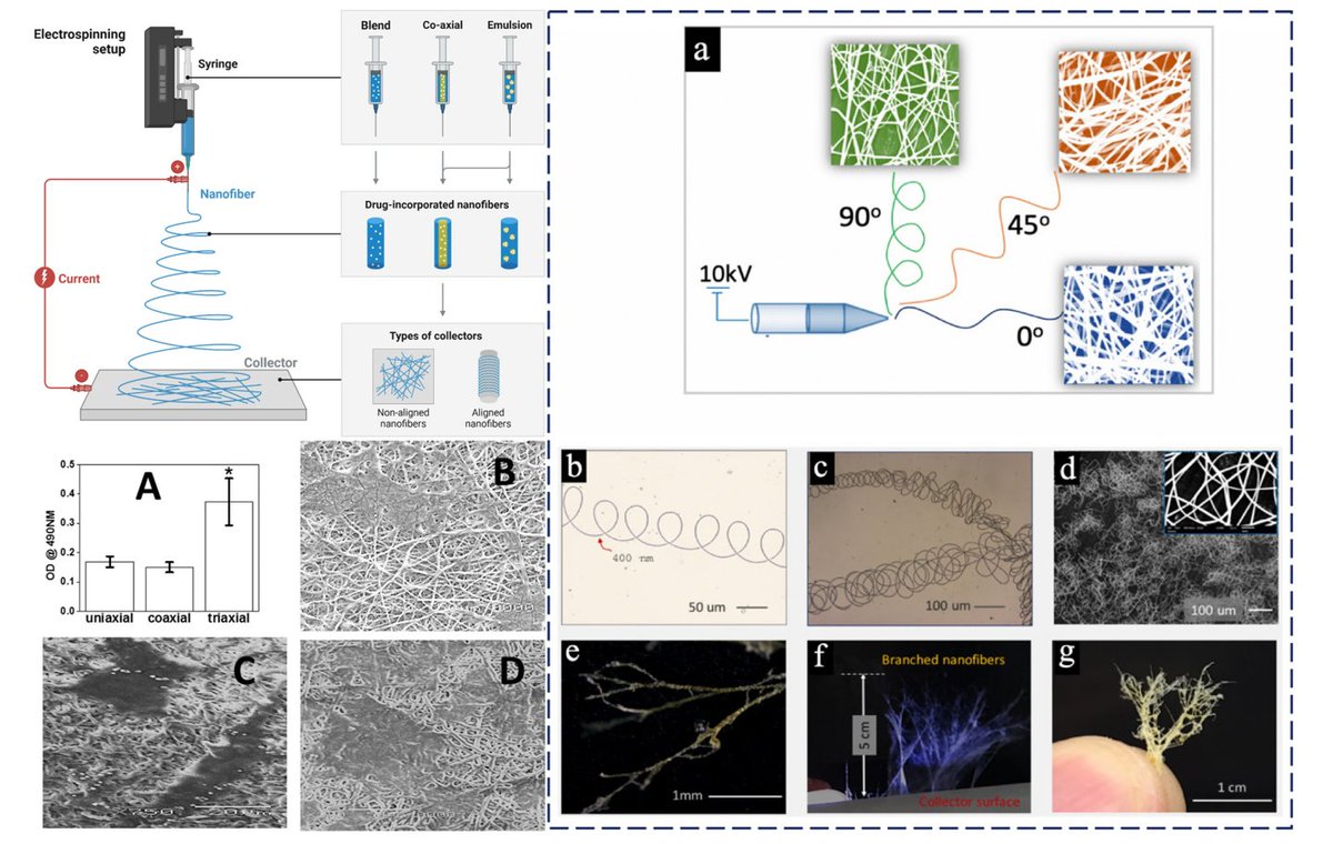 medntdj's tweet image. Engineering nanofibers for cutaneous drug delivery systems and therapeutic applications
sciencedirect.com/science/articl…
Electrospun nanofibers enable controlled drug delivery with enhanced skin penetration.
#MedTwitter #scicomm #MedEd #AcademicTwitter