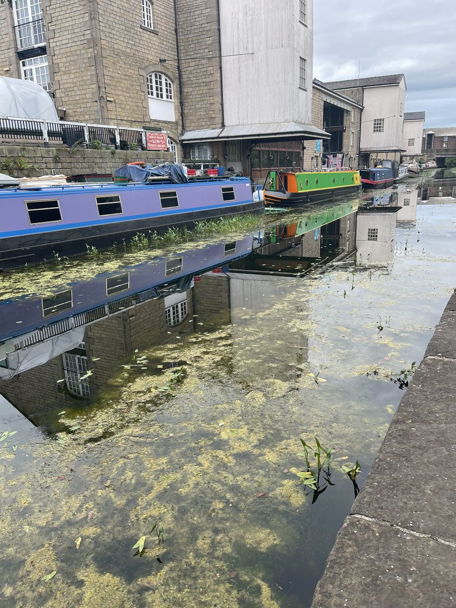 #nomoregetups Pre last day bimble! #humid The canals are closed so there’s lots of #pondlife #gurn #6weeksoff to all finishing today, enjoy some r&amp;r! <a href="/UKRunChat/">UKRunChat</a> <a href="/TeachersRunClub/">TeachersRunClub</a>