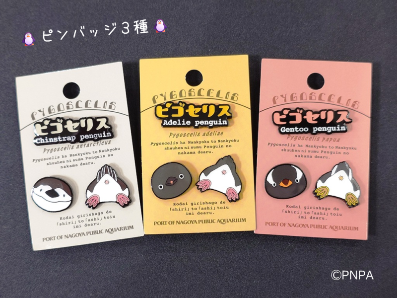 port_nagoaqu's tweet photo. 🐧新商品情報🐧
『ピゴセリス』の新商品が登場しました🎉
ピンバッジ：どれを選ぶか悩むほどかわいい！
瓦せんべい：食べた後も使えるスチール缶入り😊
これからも続々新商品が登場予定！どうぞお楽しみに✨

#ペンギン #ピゴセリス #名古屋港水族館　#名古屋港水族館ミュージアムショップ https://t.co/9Nq0o6adbK