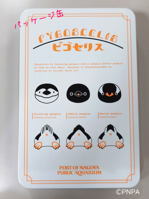 port_nagoaqu's tweet photo. 🐧新商品情報🐧
『ピゴセリス』の新商品が登場しました🎉
ピンバッジ：どれを選ぶか悩むほどかわいい！
瓦せんべい：食べた後も使えるスチール缶入り😊
これからも続々新商品が登場予定！どうぞお楽しみに✨

#ペンギン #ピゴセリス #名古屋港水族館　#名古屋港水族館ミュージアムショップ https://t.co/9Nq0o6adbK