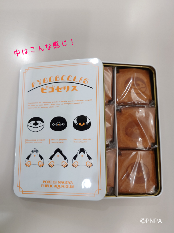 🐧新商品情報🐧 『ピゴセリス』の新商品が登場しました🎉 ピンバッジ