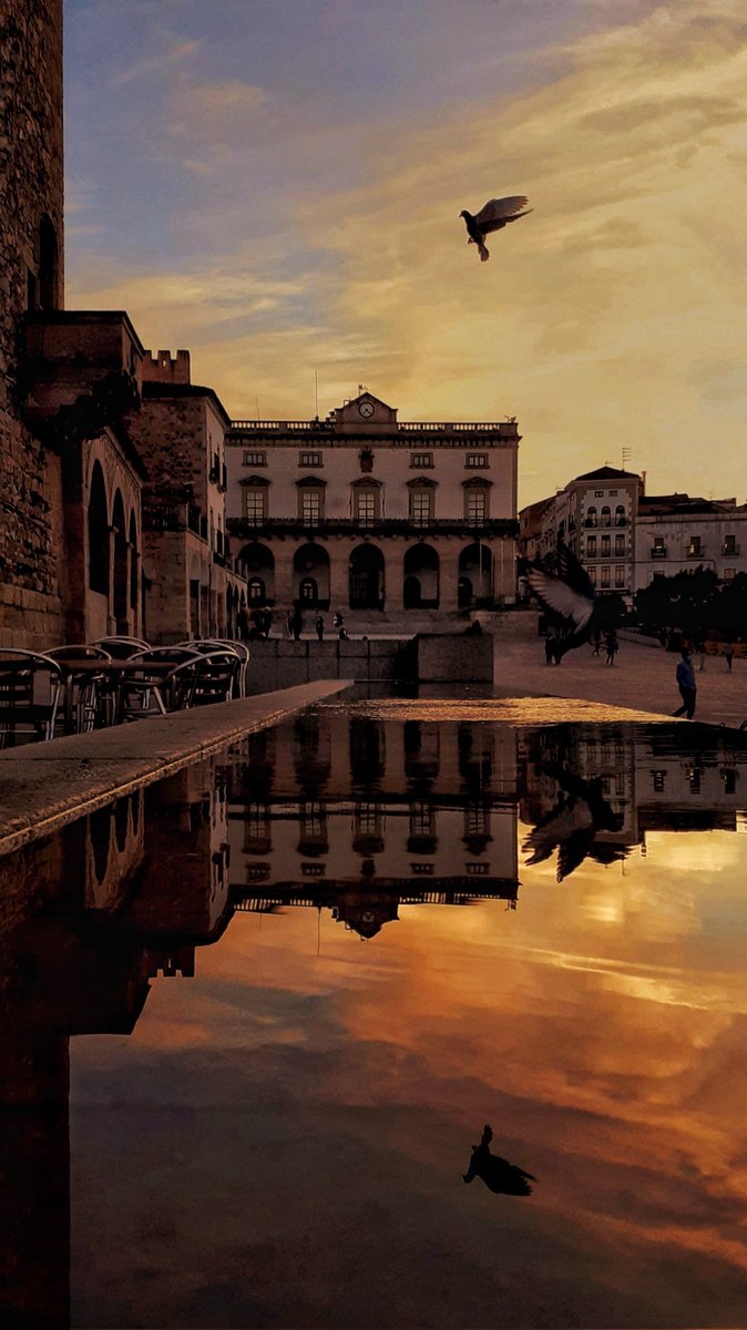 Me olvidé de poner en el suelo los pies
y me siento mejor
🤍