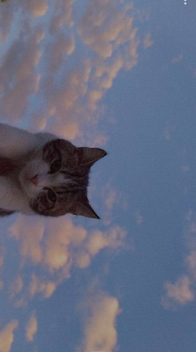 𝖆𝖗𝖙𝖟~𝖓𝖔𝖜 (@artznow_) on Twitter photo 