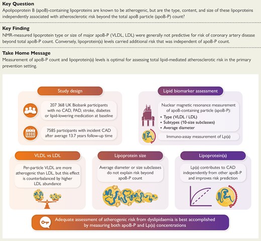 ehj_ed's tweet image. ApoB-containing lipoproteins: count, type, size, and risk of coronary artery disease. Read this interesting prospective analysis in the @EHJ at doi.org/10.1093/eurhea… #ApoB #Lipoproteins #CoronaryArteryDisease @ESCardio @ESC_Journals