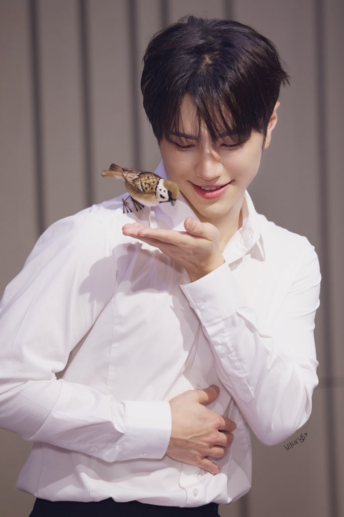 20250208 fanplee

迪士尼公主（❌）王子的必备技能——拥有与动物沟通的能力🕊️

#VANNER #태환