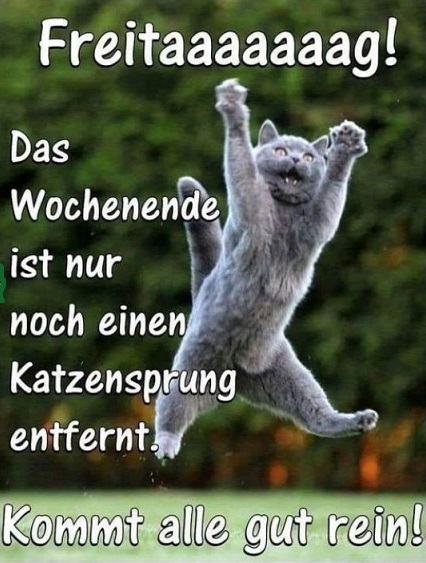 ======== ☕️  🥐  ☕️ ========
👋   Guten Morgen Ihr Lieben   👋
======== 🍀  ☀️  🍀 ========