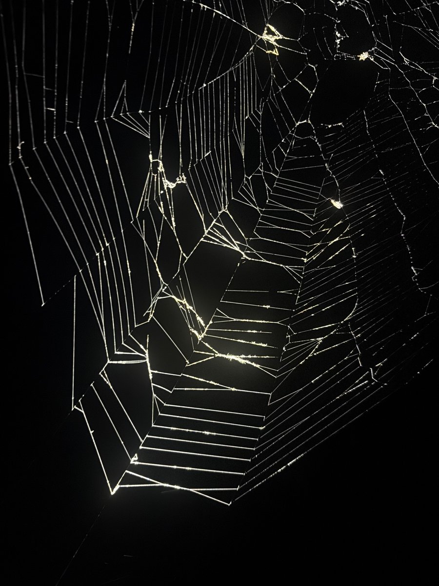 webbing