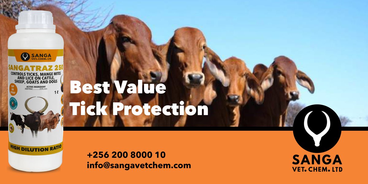 sangavetchem's tweet image. Looking for effective tick control that won't drain your budget? Choose SANGATRAZ 250 – a powerful acaricide that works harder for less.
● High-concentration amitraz (25%) for maximum effectiveness
● Superior dilution ratio – use half as much compared to 12.5% amitraz products…