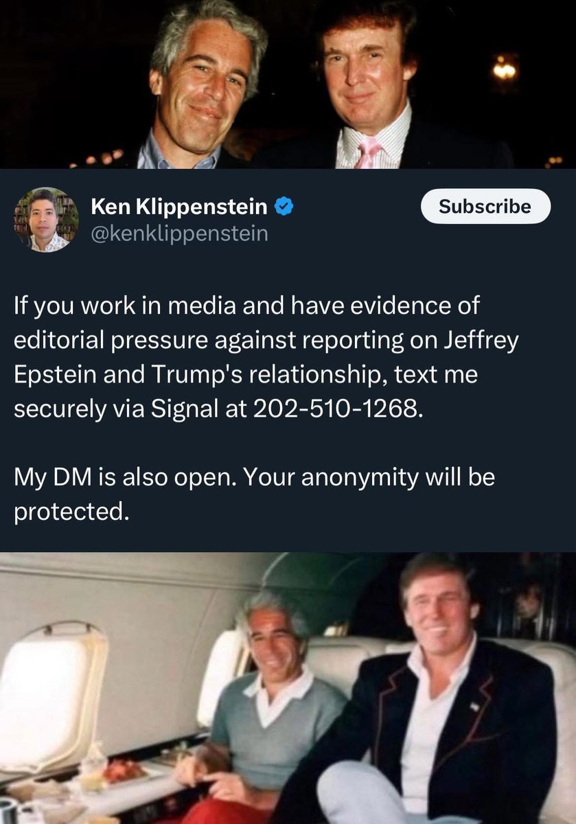 Pitch Paradigm (@pitchparadigm) on Twitter photo 