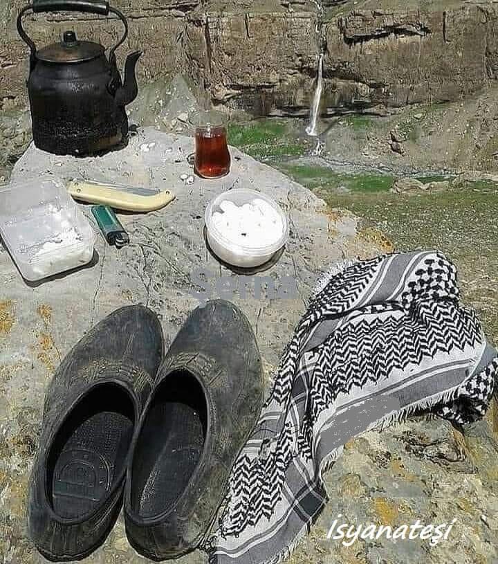 serenad75's tweet image. Memleket hasreti gibisin sevgilim
Kapı ağzında
Pencere kenarında seviyorum seni
Dokunmadan, fotoğraflarla...

- Azad Penaber