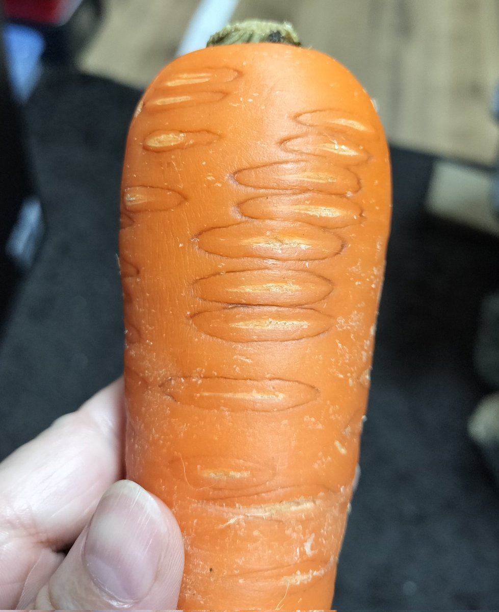 star_trip's tweet image. なんかにんじんが気持ち悪い模様になった