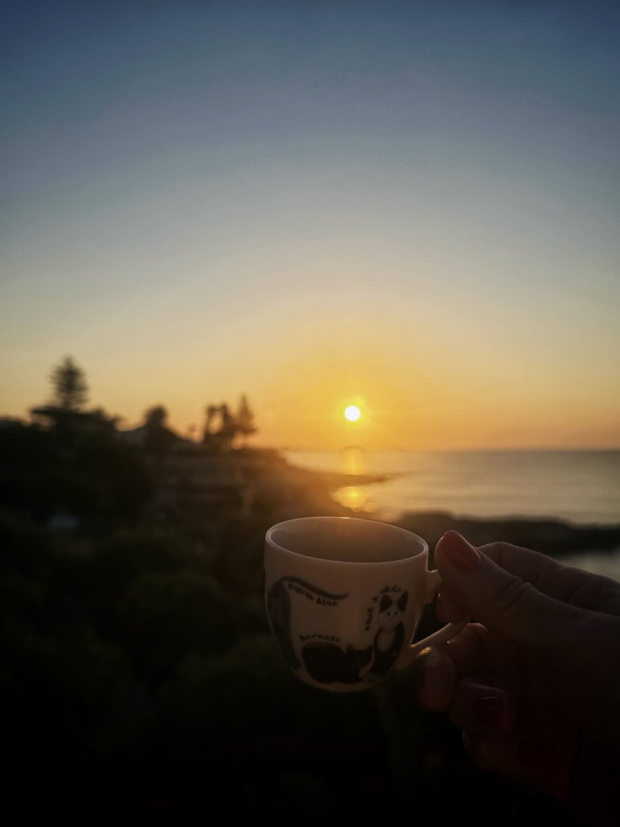 Manuvi_'s tweet image. Un sorso di sole per te 🌞