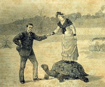 1StevieKilner's tweet image. For those of you enquiring, THIS is the correct way that a lady should be helped from a giant tortoise: petticoats slightly raised, gentleman with hat off and posed at a jaunty angle.
