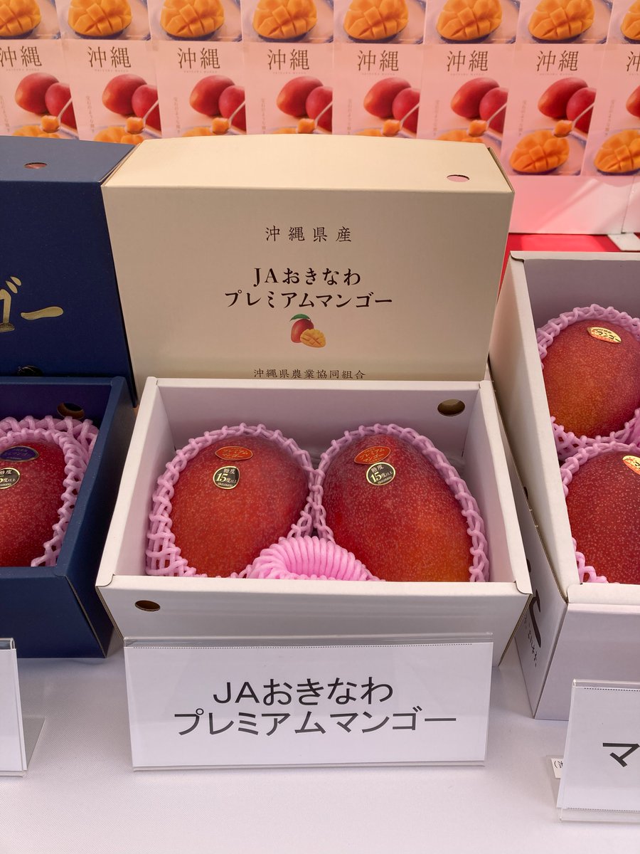 くゎっちーおきなわ (@kuwachiiokinawa) / Posts / X