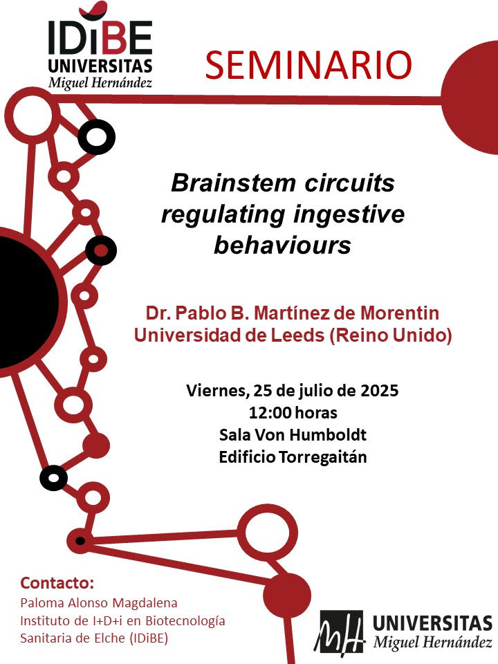 mbiotingUMH's tweet image. El próximo viernes, 25 de julio, a partir de las 12:00 en la Sala Van Humboldt del edificio Torregaitán, tendrá lugar el seminario «Brainstem circuits regulating ingestive behaviours». La sesión correrá a cargo de el Dr. Pablo B. Martínez de Morentin de la Universidad de Leeds