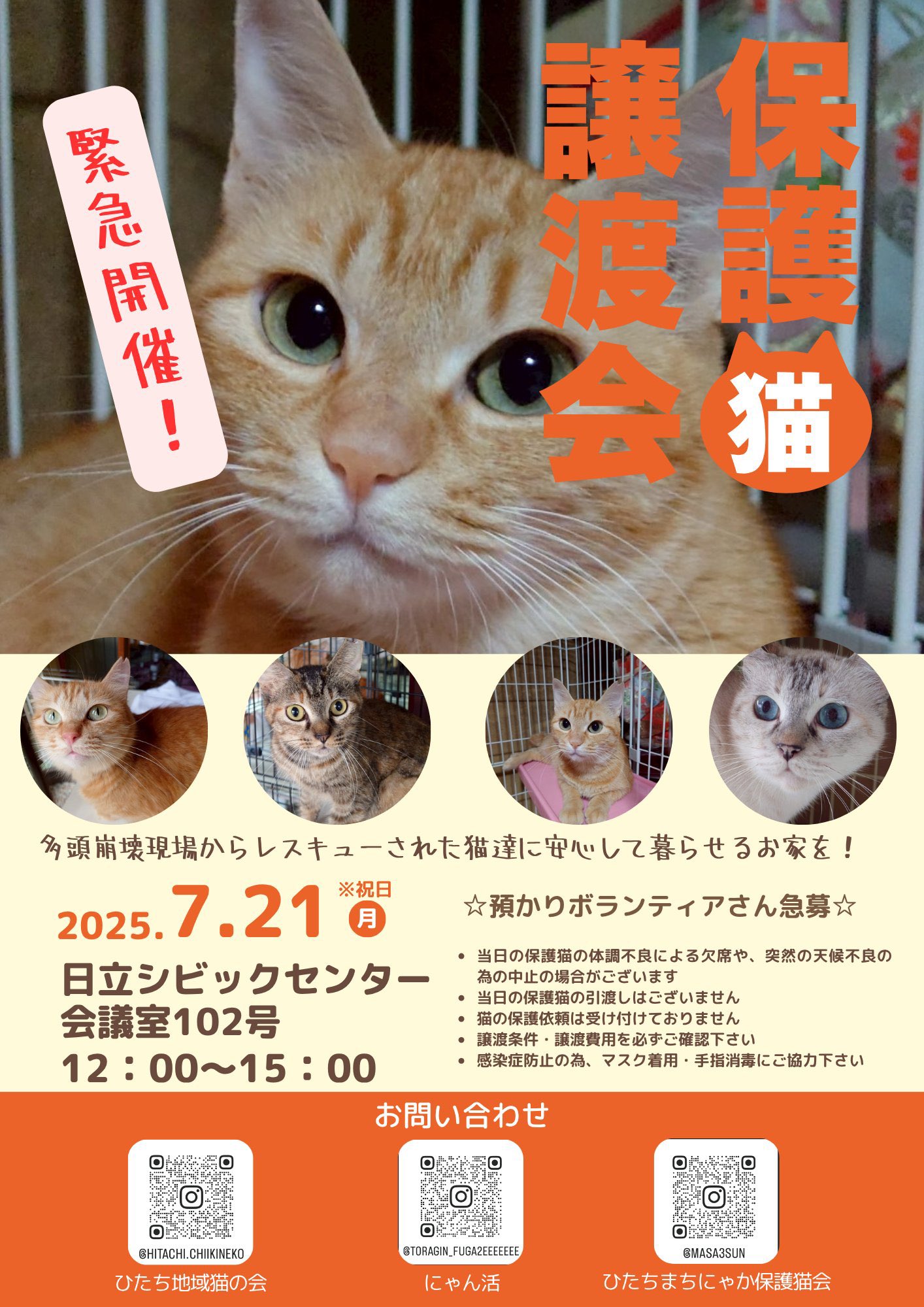 猫隊員さま カード検索 ｜ Z/X - Zillions of enemy X - ゼクス公式サイト
