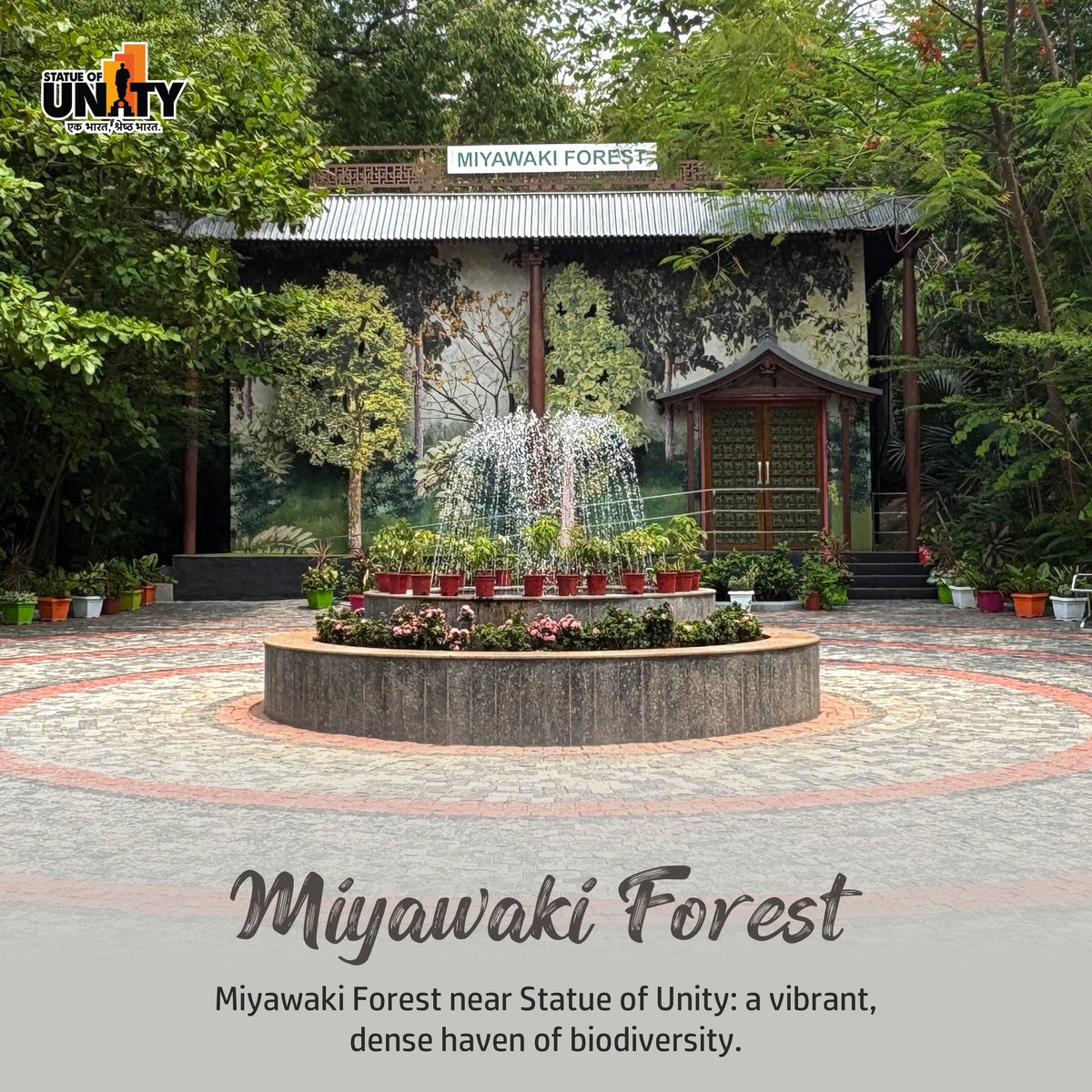 souindia's tweet image. Discover a mini jungle in Ekta Nagar. 

The #MiyawakiForest grows 10x faster and 30x denser-nature’s wonder thriving near the world’s tallest statue. 
#PlantMoreTrees #GreenEscape #EktaNagar #StatueOfUnity #150YearOfSardarPatel