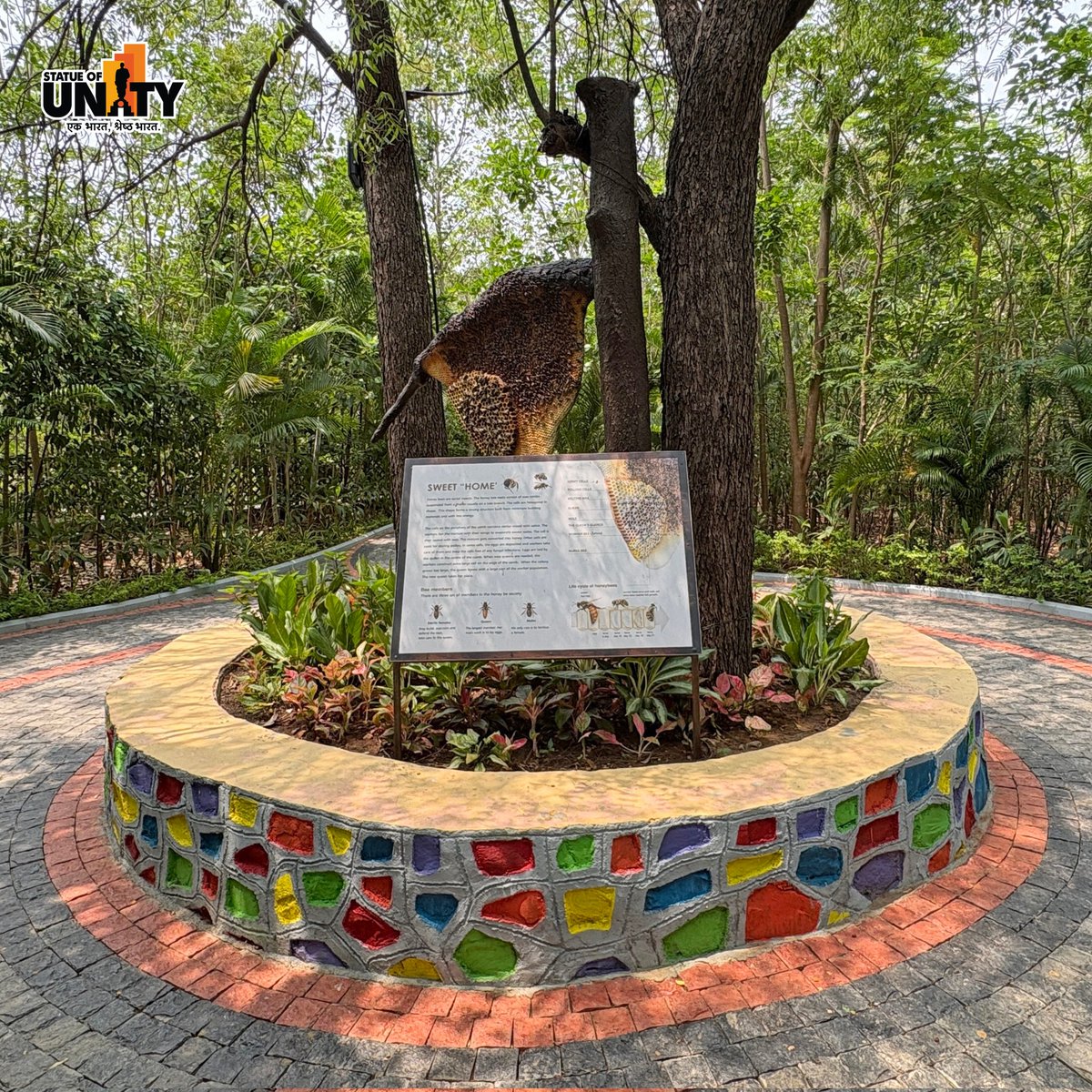 souindia's tweet image. Discover a mini jungle in Ekta Nagar. 

The #MiyawakiForest grows 10x faster and 30x denser-nature’s wonder thriving near the world’s tallest statue. 
#PlantMoreTrees #GreenEscape #EktaNagar #StatueOfUnity #150YearOfSardarPatel