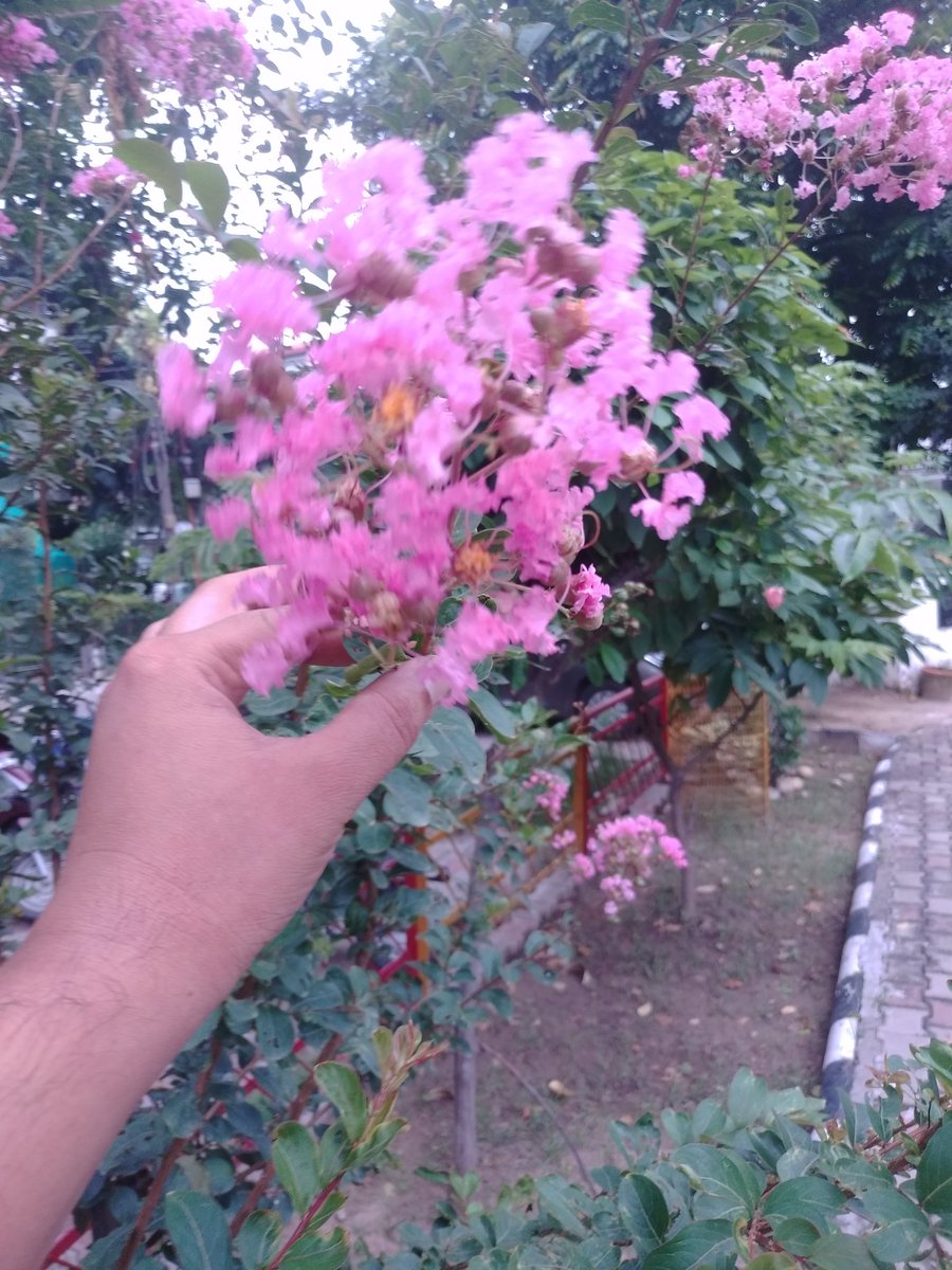 Nothing is beautiful than nature so love nature protect nature and make colourfull this world for coming generations.