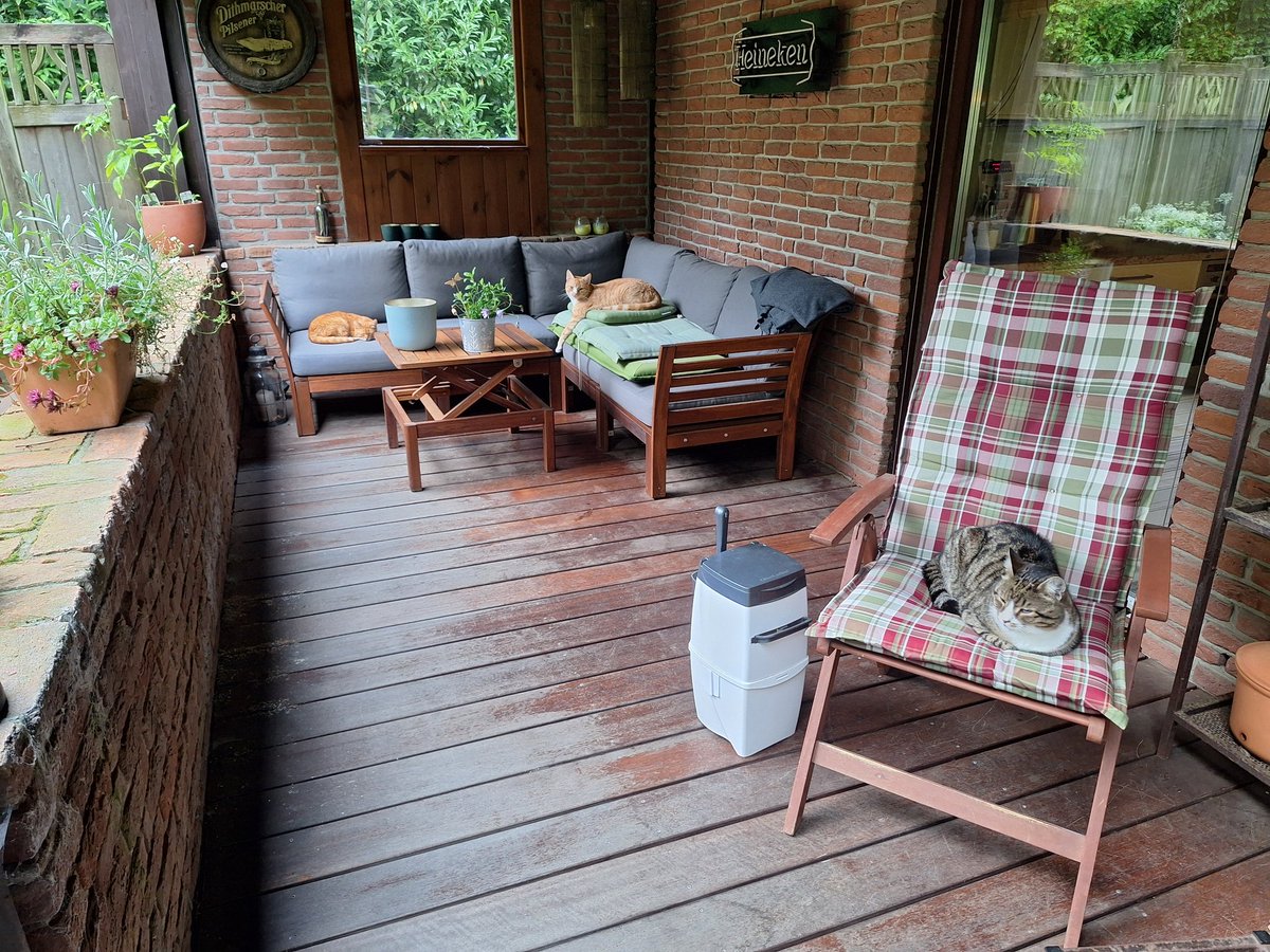 Happy Friday, friends! It's warm, but a bit soggy underpaw, so we are all snuggled up on the covered terrace. It's a good place to watch birdies or have a little nap. Have a pawsome day! ~Sunny, Barney &amp; Oscar 🧡🧡❤️

#Hedgewatch