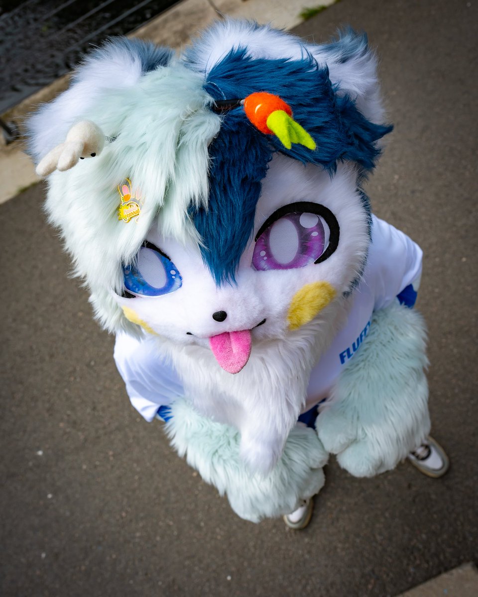 #PuppyMoonie #FursuitFriday

Am I cute...? 🥹✨
내가 귀여운가요...?

📸:  <a href="/Slibiniukas/">Dragoniel</a>