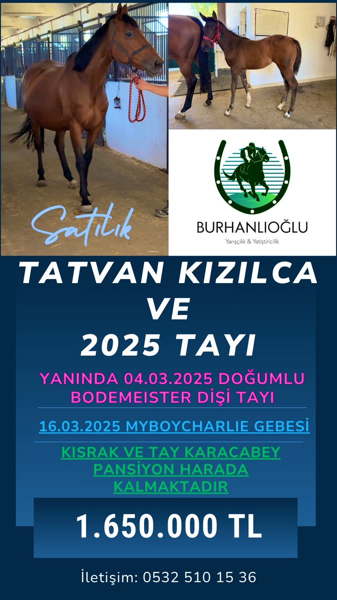 🌟TATVAN KIZILCA VE 2025 TAYI🌟