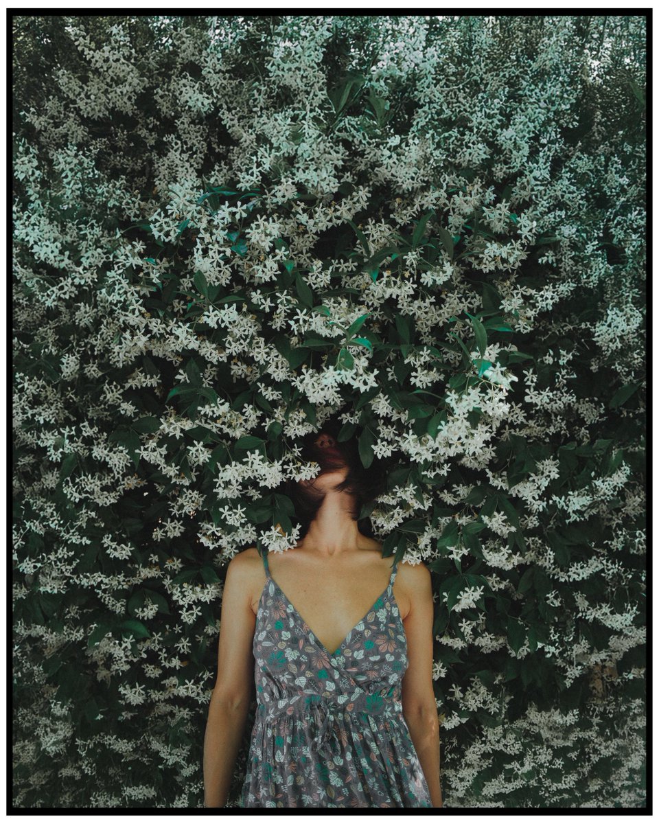 AstrHori's tweet image. 📷In Bloom
The AF27mm F2.8 delivers high resolution and stunning image quality in a compact design. A perfect choice for portraits.
Credit:  @moisfoto
Model:  @delaiag
#astrhori #af27mmf28 #autolens #portraits #everydayphotography #inbloom #girls #cameragear  #fujifilm #XMount