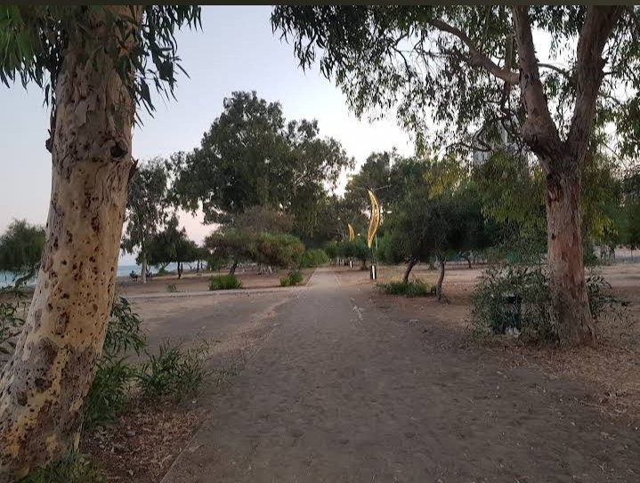 #çeşmeli
#tece
#davultepe
#mezitli

Bilenler ❤️ kalp katsın, sabah sporu ❤️💓💙🖤