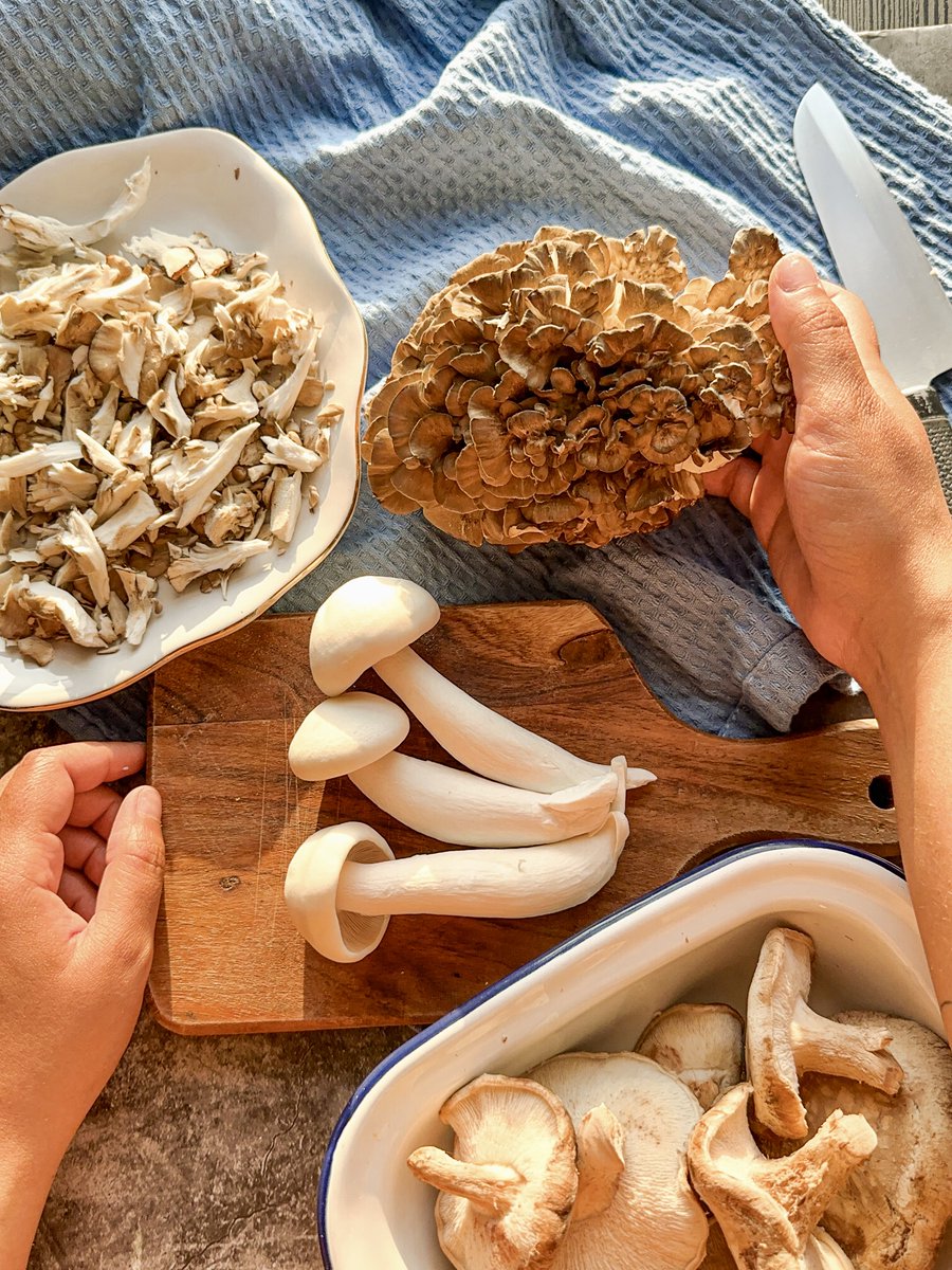 Garryhinch Wood Exotic Mushrooms (@garryhinchmush) on Twitter photo Variety is the spice of life! And so are #exotic #mushrooms!
Browse our range at garryhinchmushrooms.ie
Would you like to add them to your menu or food offering? Just contact us at 057 8697696 or info@garryhinchmushrooms.ie
#irish #garryhinch #exoticmushrooms #organicmushrooms Variety is the spice of life! And so are #exotic #mushrooms!
Browse our range at garryhinchmushrooms.ie
Would you like to add them to your menu or food offering? Just contact us at 057 8697696 or info@garryhinchmushrooms.ie
#irish #garryhinch #exoticmushrooms #organicmushrooms