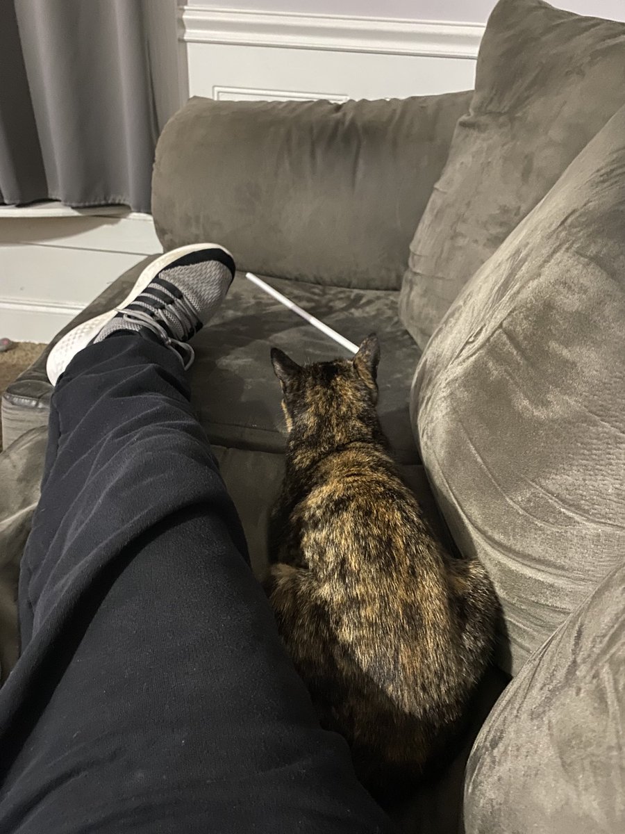 Joseph Pallotta #DontTouchTheWalls tweet media