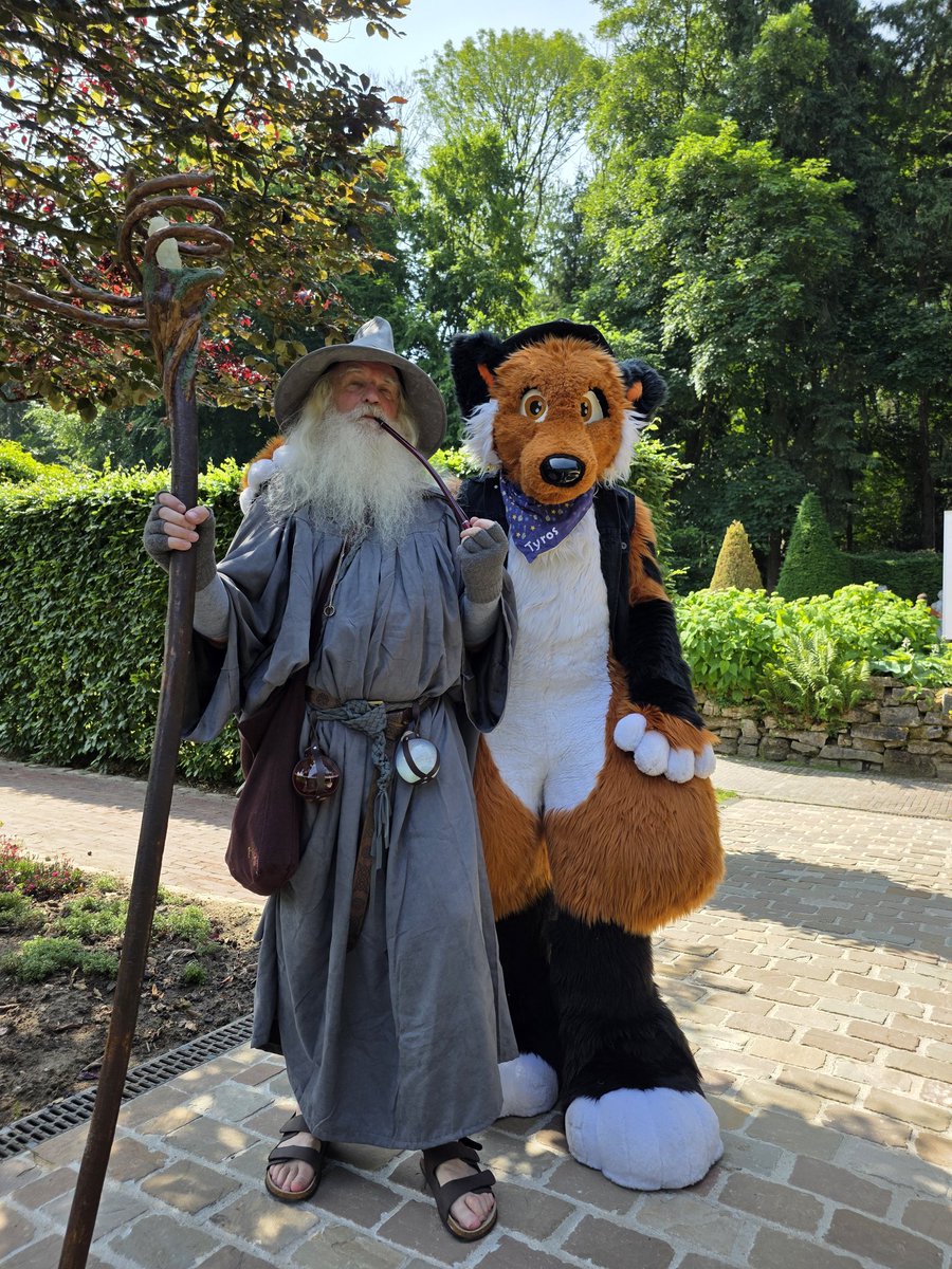 Shall i pass? #fursuitfriday