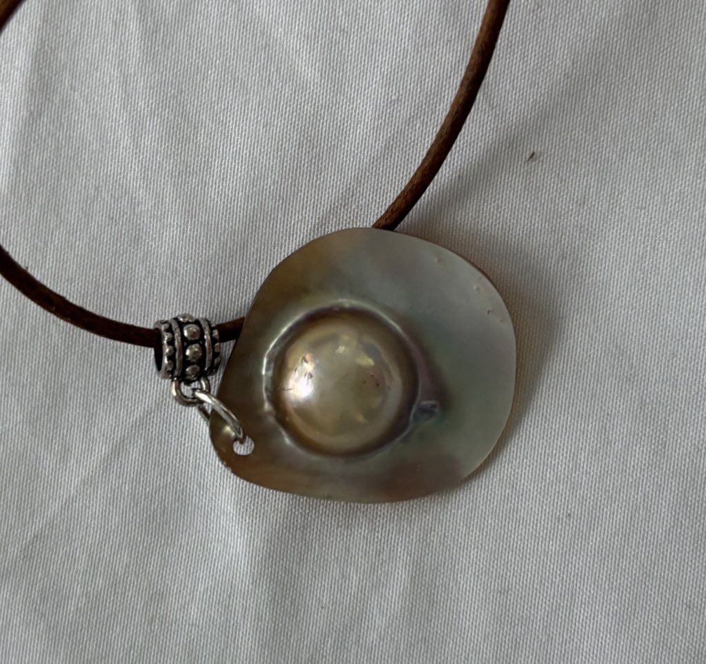 I am a proud purchaser of a mabe pearl from <a href="/ACIARAustralia/">ACIAR</a> cooperative project with 🇫🇯 Ministry of Fisheries in beautiful Savusavu !