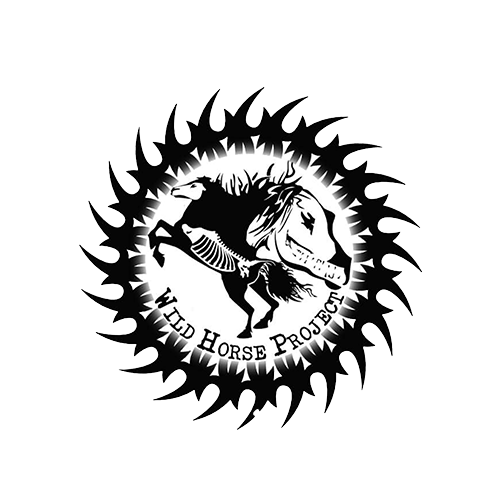 WildHProject tweet picture