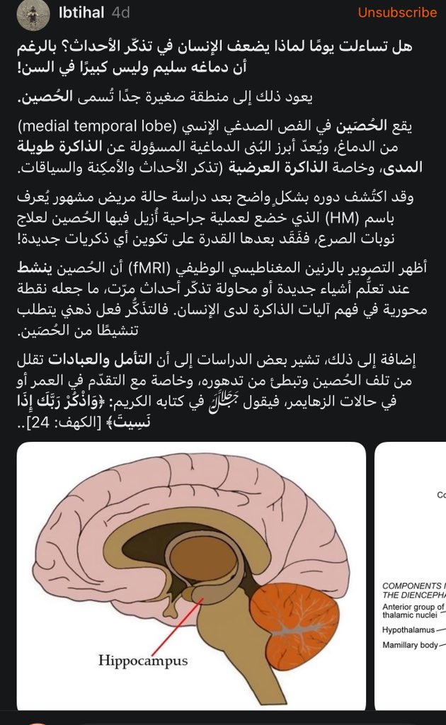 Rahil / راحيل tweet media