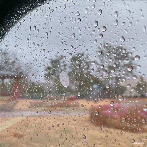 초코라떼 부부 tweet media