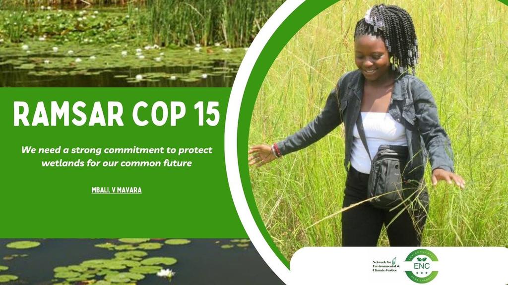 network for environmental and climate justice (@networkforenvi1) on Twitter photo #RAMSARCOP15 - We need strong commitments to protect wetlands for our common future.
<a href="/RamsarConv/">Convention on Wetlands</a> <a href="/UNDPClimate/">UNDP Climate</a> <a href="/UNFCCC/">UN Climate Change</a> <a href="/MumbaMusondam/">Dr. Musonda Xoliswa Mumba</a> <a href="/ParliamentZim/">Parliament of Zimbabwe</a> <a href="/MinOECW/">Ministry of Environment, Climate and Wildlife</a> <a href="/EMAeep/">E.M.A</a> <a href="/Zimparks/">Zimparks</a> <a href="/MinOECW/">Ministry of Environment, Climate and Wildlife</a> <a href="/WetlandOrg/">Wetlands Conservation Organisation</a> <a href="/CarbCredAfrica/">CarbCredAfrica</a> <a href="/dorothywetlands/">Dorothy Wakeling</a> <a href="/diana_harawa/">You(th)Adapt</a> <a href="/CANZIM11/">Climate Action Network Zimbabwe (CANZIM)</a> <a href="/climatenewsrom/">Climate Newsroom</a> #RAMSARCOP15 - We need strong commitments to protect wetlands for our common future.
<a href="/RamsarConv/">Convention on Wetlands</a> <a href="/UNDPClimate/">UNDP Climate</a> <a href="/UNFCCC/">UN Climate Change</a> <a href="/MumbaMusondam/">Dr. Musonda Xoliswa Mumba</a> <a href="/ParliamentZim/">Parliament of Zimbabwe</a> <a href="/MinOECW/">Ministry of Environment, Climate and Wildlife</a> <a href="/EMAeep/">E.M.A</a> <a href="/Zimparks/">Zimparks</a> <a href="/MinOECW/">Ministry of Environment, Climate and Wildlife</a> <a href="/WetlandOrg/">Wetlands Conservation Organisation</a> <a href="/CarbCredAfrica/">CarbCredAfrica</a> <a href="/dorothywetlands/">Dorothy Wakeling</a> <a href="/diana_harawa/">You(th)Adapt</a> <a href="/CANZIM11/">Climate Action Network Zimbabwe (CANZIM)</a> <a href="/climatenewsrom/">Climate Newsroom</a>